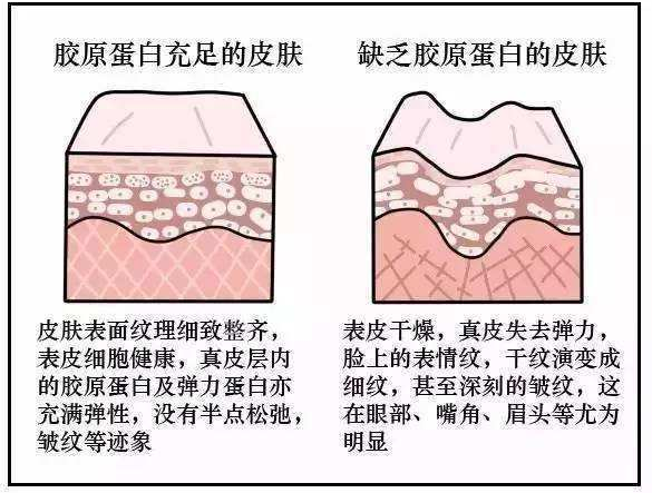 一篇大實話丨讀懂年輕五歲，速來圍觀